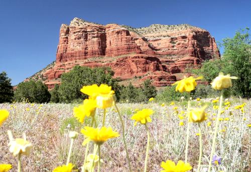 terBLUFFYELLOW59.JPG, 48 kB