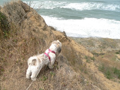 Blff-Callie.jpg, 50kB