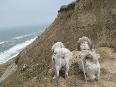 Bluff-Cal-Lex.jpg, 38kB