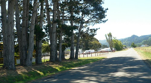 County-Fair.jpg, 59kB