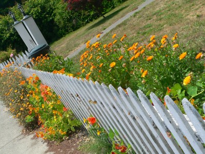 Ferndale-Fense.jpg, 62kB