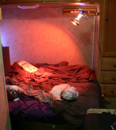 HeatLamp.jpg, 37kB