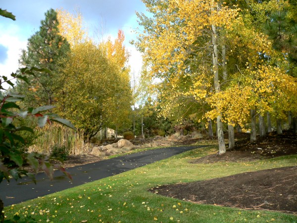 RunnyY2012-10-28.jpg, 128kB