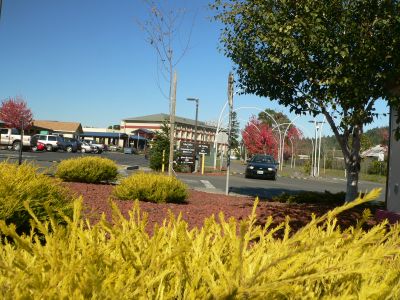 Blue-P1220193.jpg, 37 kB