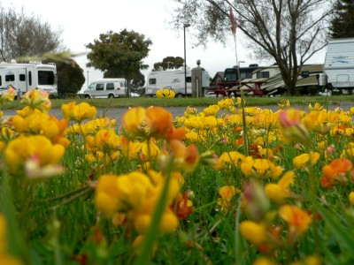 MadRiver-Rig.jpg, 45kB