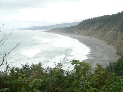 Patrics-Beach.jpg, 22 kB