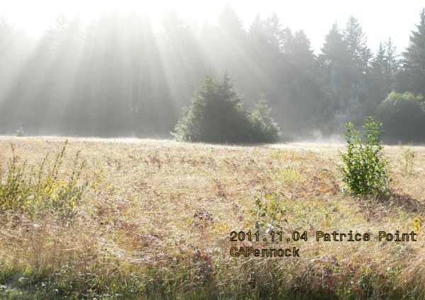 Patrics-SunBeam.jpg, 61 kB