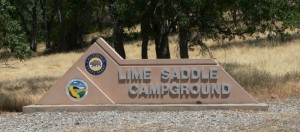 LimeSadle-Sign-Logo.jpg, 17kB