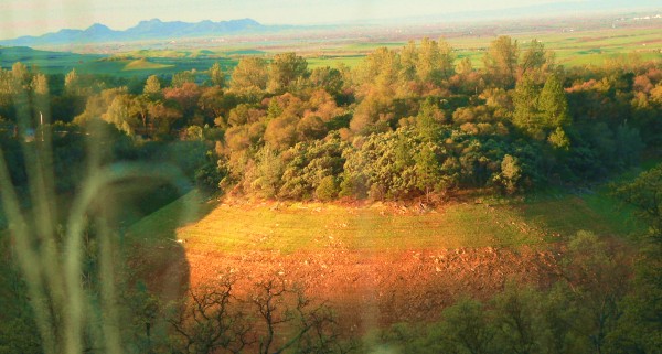 Oro-FirstLight600.jpg, 65kB