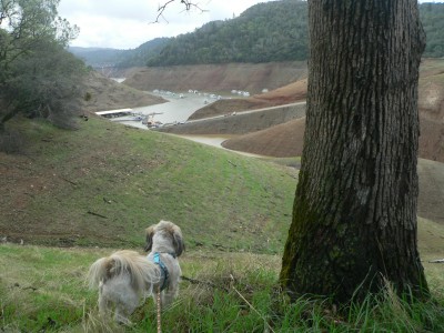 Oro-MarinaGrass.jpg, 41kB