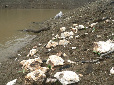 Oro-QuartsRocks.jpg, 54kB