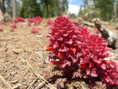 20080406WAR.JPG, 117 kB