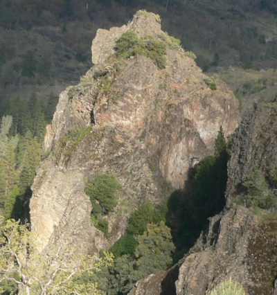 BLACKTREES.JPG, 144 kB