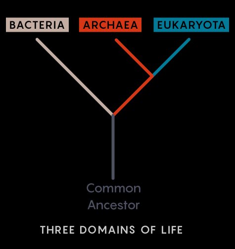 ThreeDomains.jpg, 20kB