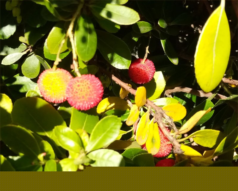 IMG_20241128_111811a.jpg, 104kB