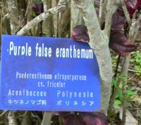 ErantSign.jpg, 11 kB