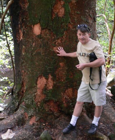 KOAIoVal2011MarP1190928.jpg, 48 kB