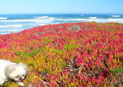 BRAGG20070920.JPG, 45 kB