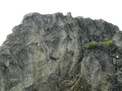 DudleaRock.JPG, 28 kB