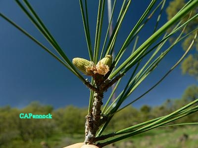 DIGGNEDS20050314.JPG, 22 kB