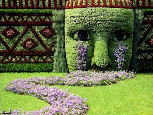 MadeFromPlants.jpg, 61 kB