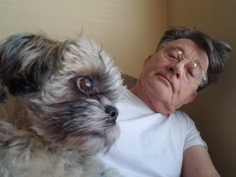 20190102_114315-Callie800.jpg, 58kB