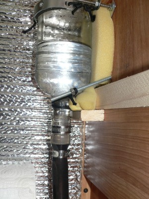 Accum-BlackBacteria.jpg, 46kB