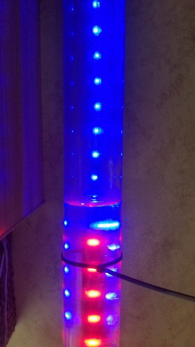 AccumNew20191206_094955.jpg, 32kB