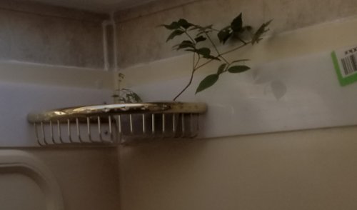 Bath20190812_090644.jpg, 14kB