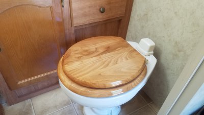 BathLidDown20180721_091033.jpg, 16kB