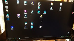 Cur-Phil27-20181010_103332.jpg, 10kB