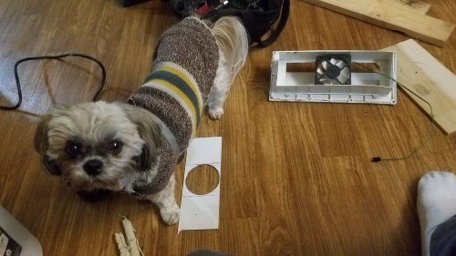 Flap20200124_163518.jpg, 34kB