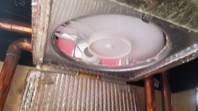 Flap20200128_121139.jpg, 18kB