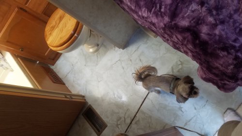 FloorBath20180903.jpg, 26kB