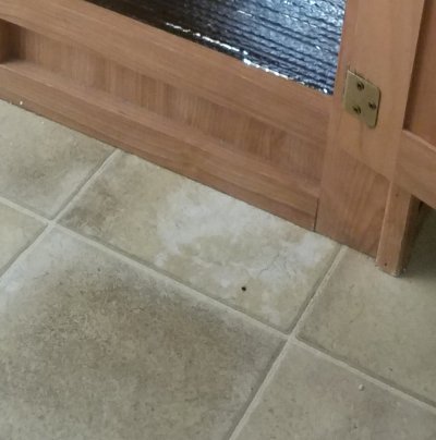 FloorSpots20180723.jpg, 25kB