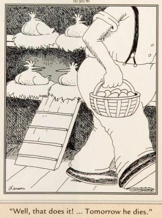 Gary-Eggs.jpg, 186kB