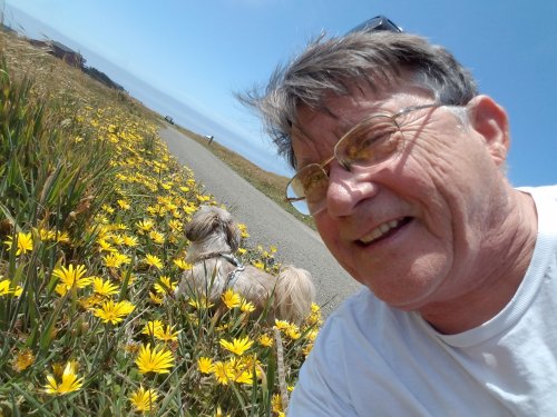 Harbor20190531_133109.jpg, 53kB