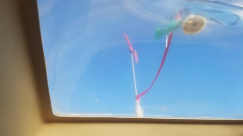 Harbor20190601_065459.jpg, 13kB