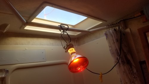 HarborHeat20190601_065516.jpg, 20kB