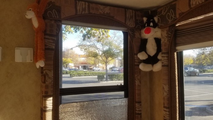 HomeDept20191110_084031.jpg, 56kB