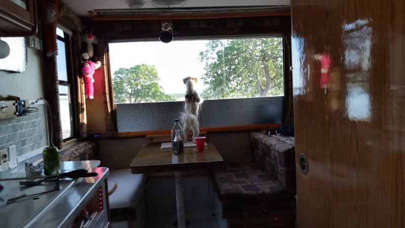 IMG_20230421_184923Table.jpg, 67kB