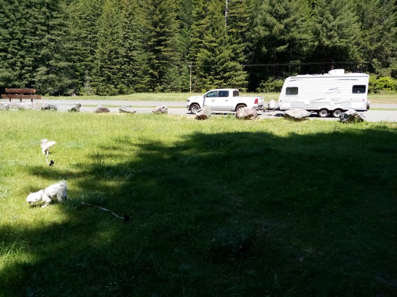 IMG_20230519_121317Donkey.jpg, 139kB