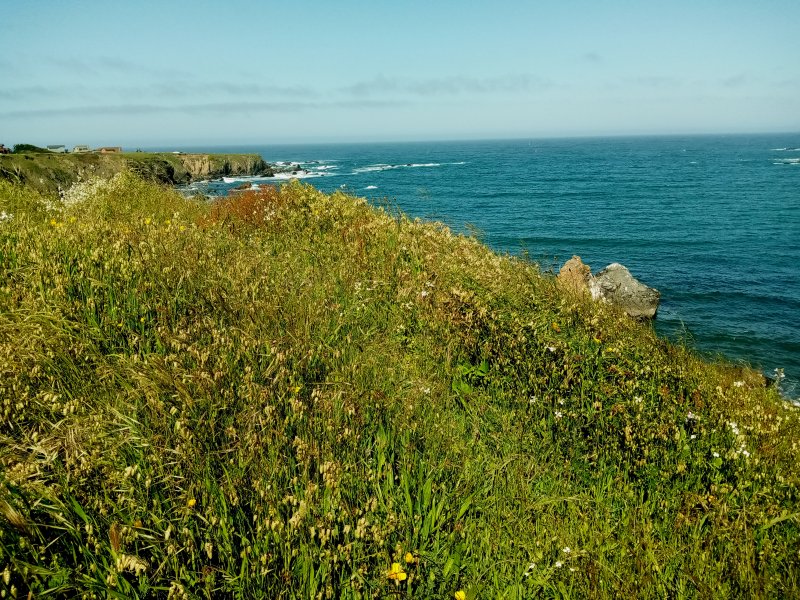 IMG_20230521_100822Bluff.jpg, 183kB