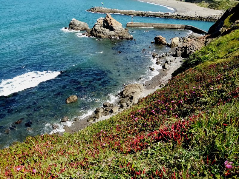 IMG_20230521_110508Bluff.jpg, 216kB