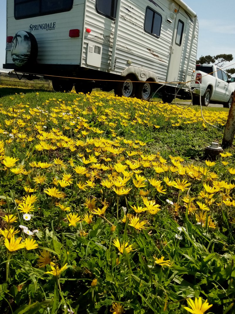 IMG_20230521_111430Yard.jpg, 342kB