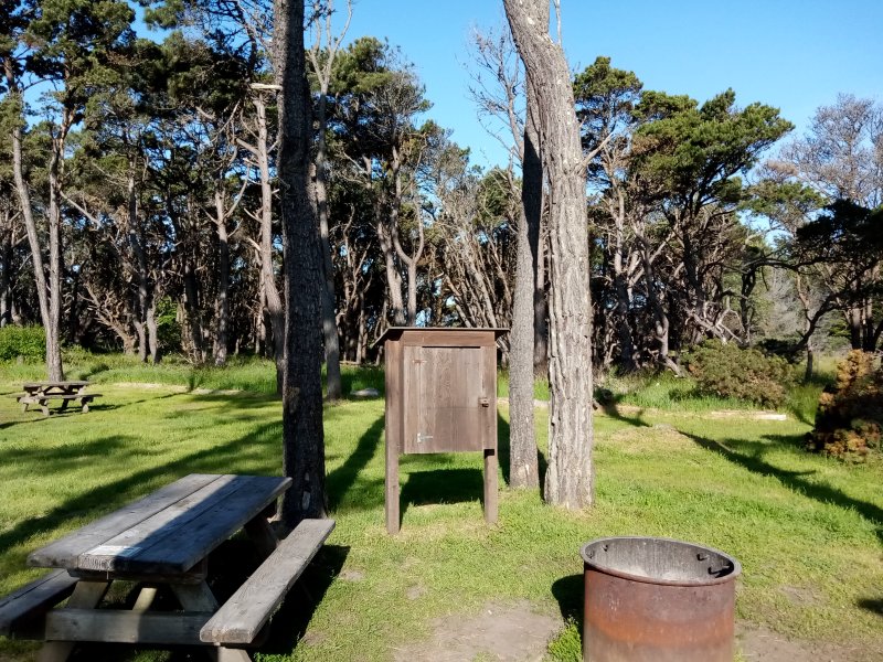 IMG_20230522_083914Bear.jpg, 181kB