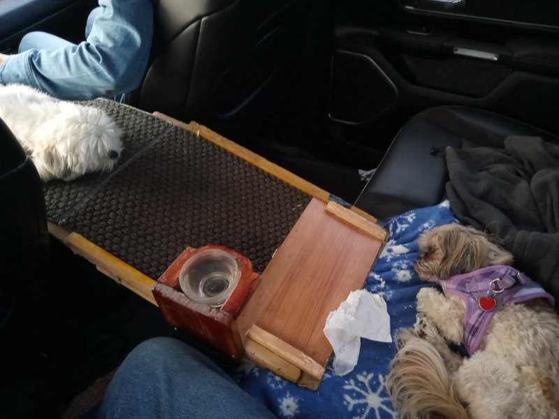 IMG_20230522_194845Tuckered.jpg, 71kB