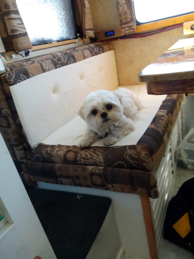 IMG_20230523_160301Pee.jpg, 106kB