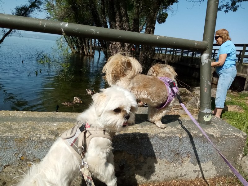 IMG_20230524_101059Clear.jpg, 143kB