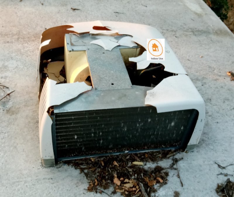 IMG_20230720_200541Sister.jpg, 88kB